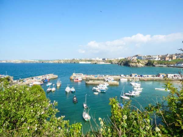 Saltwater Apartman New Quay Kültér fotó